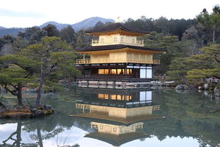 京都清水寺探秘，千年的守护与传说